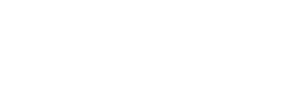 DS-printech-white-logo-aem
