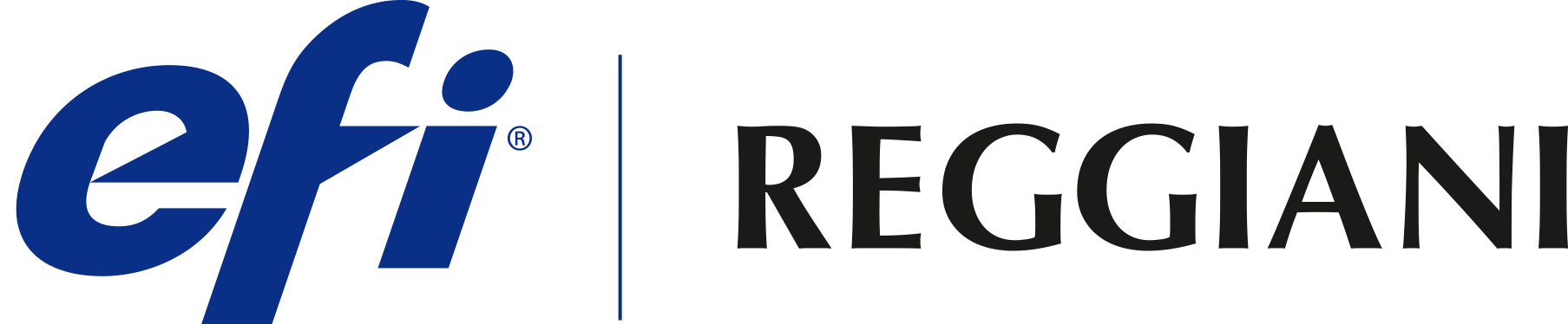 EFI_Reggiani logo